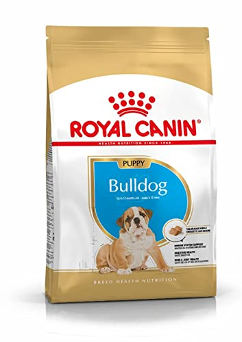 Royal Canin Bulldog Junior 3 kg, 1er Pack (1 x 3 kg)