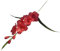Baoblaze Künstliche Blumen Gladiolen, Kunstblumen Wie Echt, Artificial Gladiolus Flower Vivid, Artificial Flower Wedding Gladiolus für Zuhause, Bauernhaus, Hausgarten, Party, Hochzeit, Rot