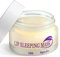 PLMMOUT Lippenschlafmaske,Feuchtigkeitsspendende Lippenbalsam,Pflegende Lippenmasken für Lippenpeeling,Aufhellung von Lippenfältchen und Lippenpflege(20g)