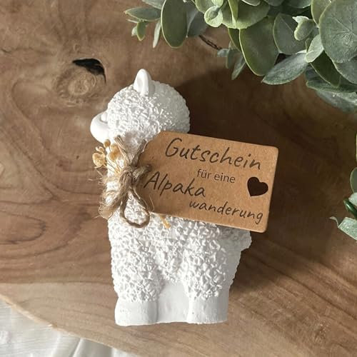 KeraFlott Alpaka, Gutschein für eine Alpakawanderung, Geschenk Alpaka, Mitbringsel, kleines Geschenk