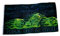 Fahne/Flagge Hell of a Ride Motorrad NEU 90 x 150 cm