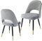 chairus 2er Set Esszimmerstühlen aus Samt für Küche Wohnzimmer Modern Armloser Bürostuhl Polsterstuhl Seitenstühle Hohler Rückenmit Metallbeinen (Grau-2)