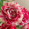 Rosas trepadoras naturales para huerto en casa - Planta de rosa resistente al exterior 250 piezas