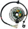 Motocicleta Estator Bobina para XLSION Z155 Magneto Coil Stator Kit para Zongshen 150cc 155cc 160cc Pit Dirt para Monkey Bikes Motor De 4 Tiempos Refrigerado por Aceite 1P60YMJ