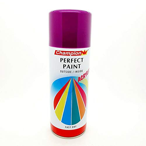 Purple Spray Paint Aerosol Auto Car Primer Matt Gloss Metallic Wood Metal Plastic