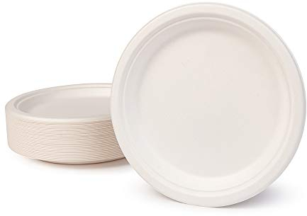 Greenbox - Vaisselle jetable en bagasse respectueuse de l'environnement - 50 assiettes rondes blanchies - En canne à sucre - Assiettes jetables bio - 22 cm - Pour fête
