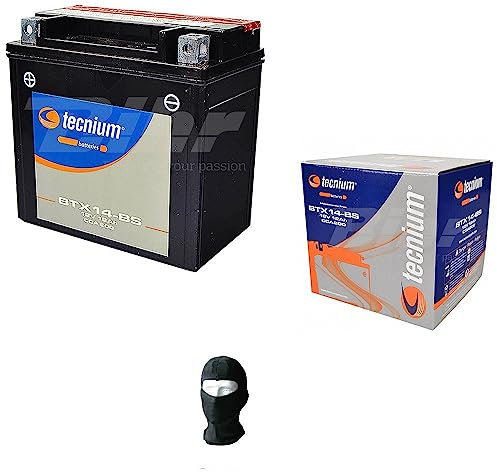 Compatible avec Honda 1100 VT C2 Shadow Sabre 2001 Batterie TECNIUM YTX14-BS 12V 12AH 12 AMP Batteries PRÊTES pour Usage SPÉCIFIQUE Moto Scooter 150X87X145MM