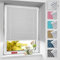 BelleMax Plissee ohne Bohren verdunkelung, Thermo Plisseerollo Klemmfix, Weiß 60x130cm(BxH), Verdunklungsplissee 100% lichtundurchlässig für Fenster, Blickdicht Sichtschutz Sonnenschutz