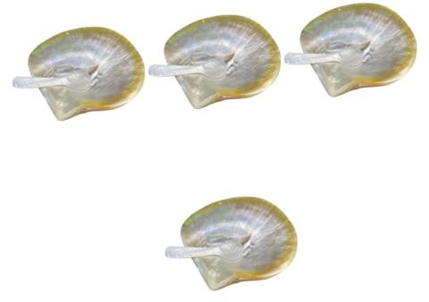 SHOWERORO 4 Ensembles Vaisselle coquillage assiettes de service plats de coquillages Couverts coque Couverts nautiques couverts de table assiette coquillage avec cuillère assiettes à salade