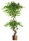 Leaf Internal_UK_high, Twisted Large Copper, 150cm (5ft)