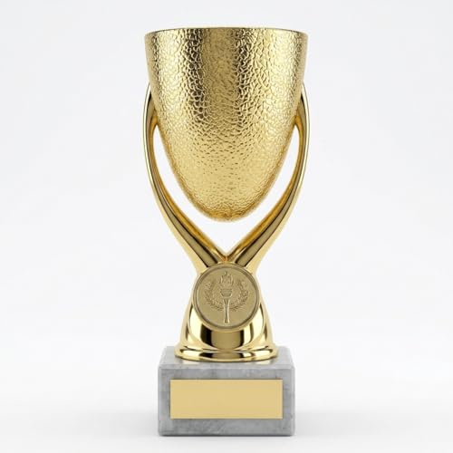 Sign Print Lab Egg Cup Bowl Award Trophy 16cm (6 1/4) – Gold, Silver and Bronze Winner Prize Cup, Plastic & Metal Trophy for Sports, School, Club Competitions & Awards
