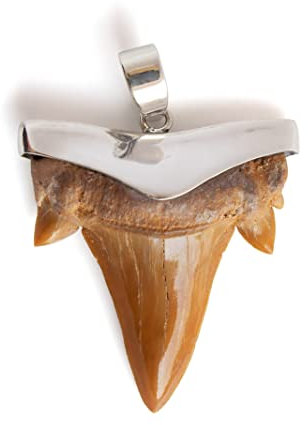 Fly Style echter Haizahn Anhänger mit 925 Silber Fassung - Handgefertigtes Unikat - Fossil Fossilien echt, Grösse:groß, Modelle:Dunkel