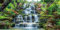 MIRRORANG 91x50cm Wasserfall Aquarium Hintergrund Wald Park Grün Tropische Pflanzen Aquarium Hintergrund Reptil Lebensraum Hintergrund Vinyl Hintergrund