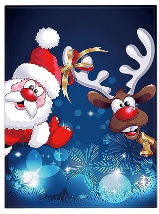 FGUUTYM Christmas Warm Sofa Blanket, Printed Flannel Conditioner Blanket, Heating Blanket Sleeves (B, One Size)