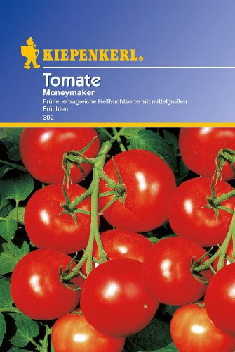 Tomaten, 'Moneymaker'