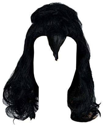 thecostumebase Herren Black Gene Simmons Kuss Perücke Curl Halloween JR004