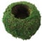 Moos Ball, 6 Zoll Natural Pflanzer Bonsai Moss Kokedama Blumentopf Grüne Bonsai Pflanzenhalter für DIY -Gartenpflanzung Home Tisch, Ball
