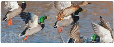 GRatka Canards colverts Chasse au Canard Canards colverts,Grand Tapis de Souris pour Bureau, Clavier d'ordinateur, avec Base en Caoutchouc antidérapante, 30 x 80 cm