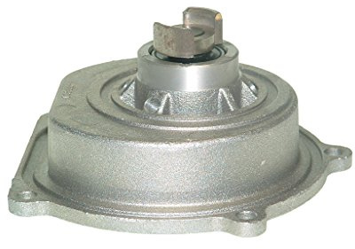 Saleri SIL PA751 Wasserpumpe