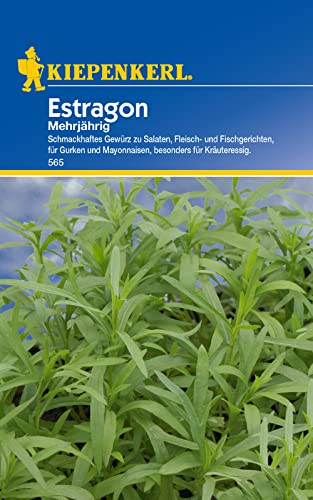 Kiepenkerl - Gemüse-Saatgut Estragon mehrjährig