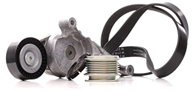 INA 529 0469 20 Keilrippenriemensatz Keilrippenriemensatz 1050 mm 6Rippenanzahl