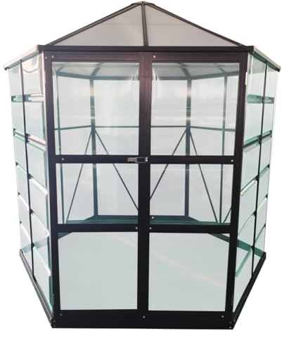 Escala Invernadero de cristal (240 x 211 x 232 cm), color verde