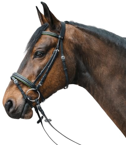 WALDHAUSEN Star Diamond Snaffle Bridle Comb, Green, Pony
