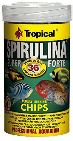 Tropical Super Spirulina Forte Chips mit 36% Spirulina (Platensis) Anteil, 1er Pack (1 x 100 ml)