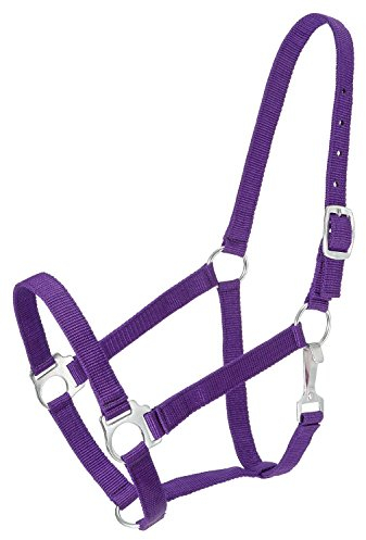Tough 1 Economy Halfter Lila Pony