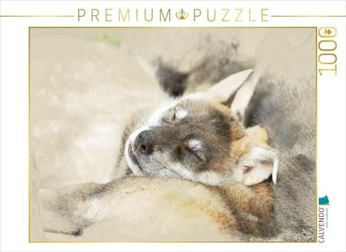 CALVENDO Puzzle Tamaskan | 1000 Teile Lege-Größe 64 x 48 cm Foto-Puzzle für glückliche Stunden