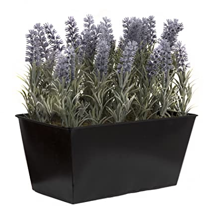 GreenBrokers Künstlicher Lavendel, Dose schwarz 30, 30 cm