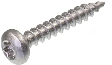 SECCARO Lot de 250 vis à bois à tête bombée 4 x 25 mm en acier inoxydable V2A VA A2 avec filetage complet, TX/six pans creux
