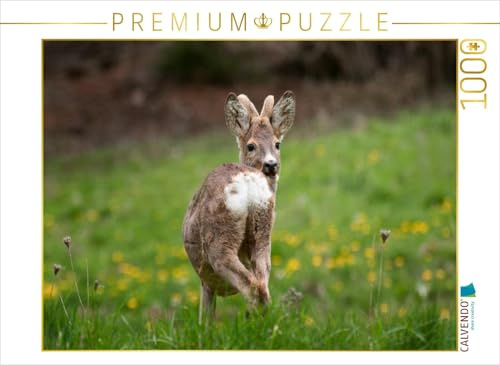 CALVENDO Puzzle Junger Rehbock | 1000 Teile Lege-Größe 64 x 48 cm Foto-Puzzle für glückliche Stunden
