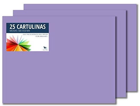 RAYLU PAPER – Tonpapier 50 x 65 cm, 25 Stück Kartonpapier 180g/m², 210 x 297 mm, professionelle farbige Kartons für Büro, Kopierpapier, Buntes Papier zum Basteln (Violett)