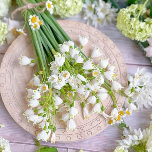 Märzenbecher zwiebeln deko garten gartendeko für draußen winterharte kübelpflanzen bonsai topf gartenpflanzen langer Blütezeit für eine büro deko schattenpflanzen geschenke für 8pcs