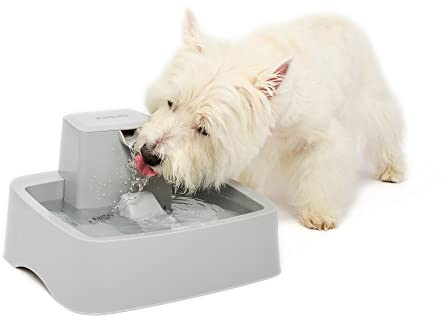 PetSafe Drinkwell - Fuente de Agua para Perros y Gatos de 1 galón, Ideal para Razas de Perros de tamaño Mediano y múltiples hogares de Gatos, diseño fácil de Limpiar, Filtro Incluido