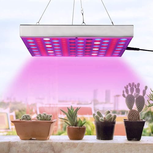 BTTO LED Grow Lampe,25w Vollspektrum Pflanzenlampe,mit Anzuchtlampe Funktion144 LEDs,Mehrere Lichtmodi Pflanzenleuchte für