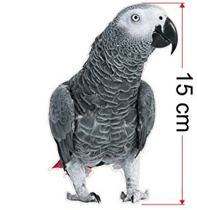 Largiri Graupapagei Aufkleber Sticker wetterfest aus PVC für Auto Heckklappe Fenster (15x10 cm)