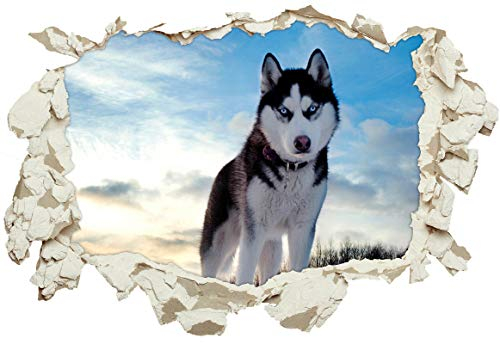 Unified Distribution Husky Hund Schnee - Wandtattoo mit 3D Effekt, Aufkleber für Wände und Türen Größe: 92x61 cm, Stil: Durchbruch