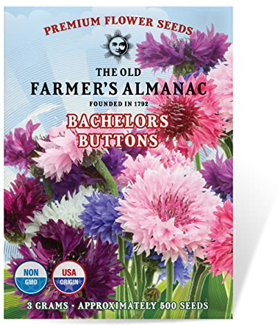 The Old Farmer's Almanac Bachelors Buttons Seeds - Approx 500 Flower Seeds - Non-GMO, Premium, Open Pollinated