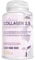 Collagène Hydrolysé Verisol® 2500 mg + Acide Hyaluronique + Coenzyme Q10 - Complément pour la Peau, les Cheveux et les Os avec Biotine, Zinc et Vitamine C - 120 comprimés, Nutracle