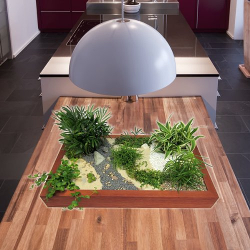 Miniaturgarten - Zimmergarten, kleine Mobile Gartenanlage - der Garten für die Wohnung - Standard Birke, dunkel gebeizt