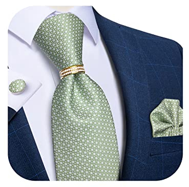 DiBanGu Cravates en soie pour homme et bague de cravate dorée tissée carrée avec boîte cadeau cachemire rayée solide cravate formelle mariage, vert sauge, taille unique