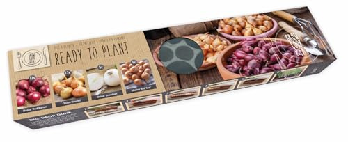 Muddy Hands 38 Ready to Plant Onion Sets & Shallots – Biodegradable Tray – Red Baron, Sturon, Snowball & Red Sun – Autumn Harvest