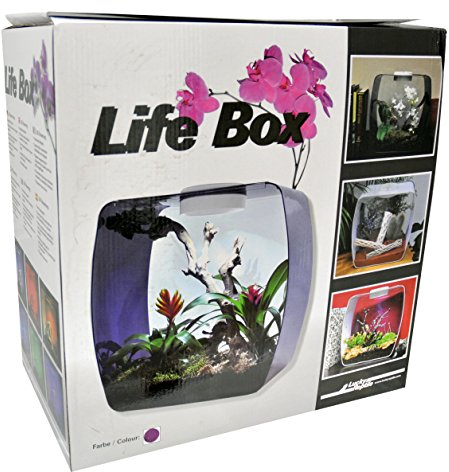 Lucky Reptile Life Box, Größe:30x18x30 cm. Farbe Beere