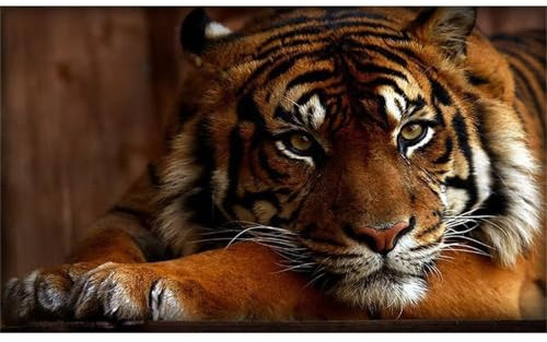 Lituor Diamond Painting Tier Tiger,5D Großes Diamond Painting für Erwachsene,Wildes Tier DIY Diamant Painting Bilder,Voll Runder Strass Stickerei Kristall Diamant Malerei Home Wall Décor 90x180cm