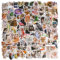 saerryor 145 Pcs Cat Meme Stickers Set, Waterproof Self-Adhesive Aesthetic Cute Funny Cat Decals Sticker for Kindle Bottle Laptop Scrapbook Phone Luggage
