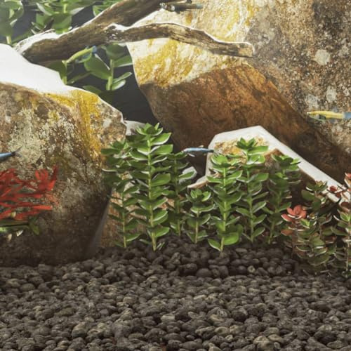 Teenpull Lavagranulat Schwarz 10 kg 3-5 cm Vulkangestein Aquariumdekoration natürliche Steine Deko Versteck Pflanzen Höhle Blickfang für Süßwasser Fischbecken und Terrarium