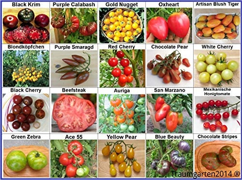 Traumgarten2014 Tomatensamen 20 Sorten Kollektion 1