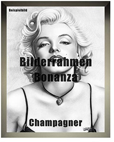 Homedecoration Bilderrahmen Bonanza Bildgröße 40 x 100 cm in Champagner mit Acrylglas klar 1 mm in 52 Farben